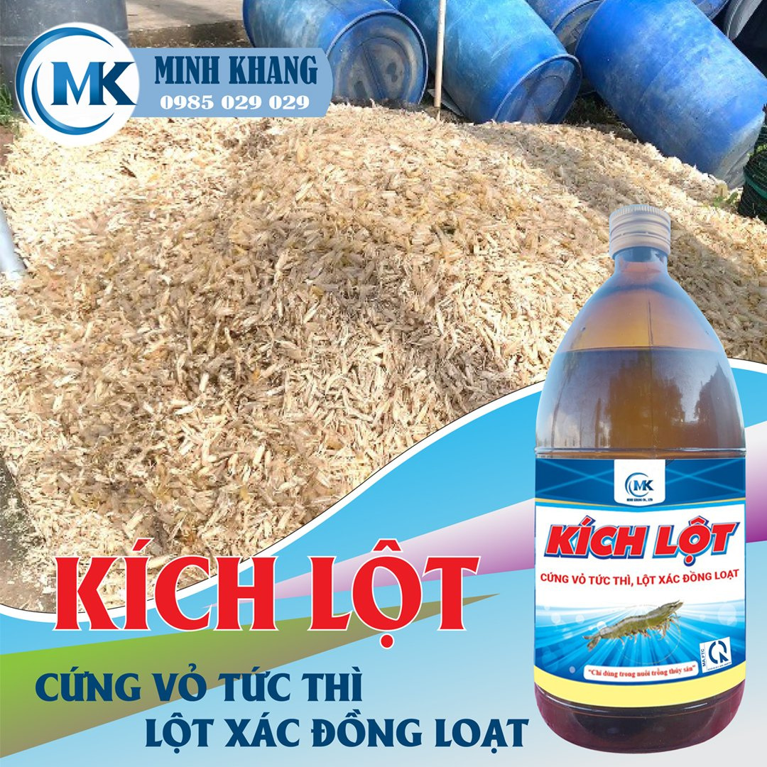 KÍCH LỘT - Ảnh 2