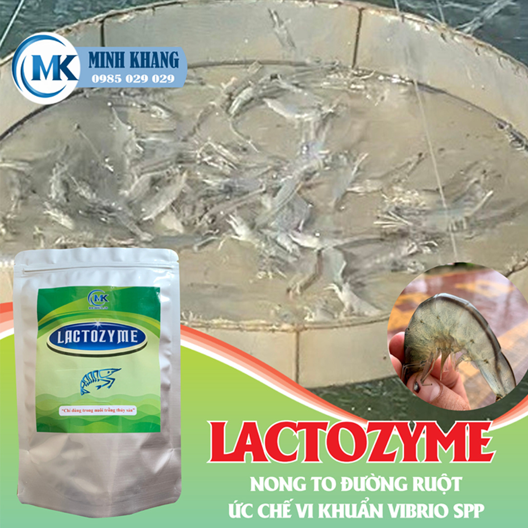 LACTOZYME - Ảnh 2