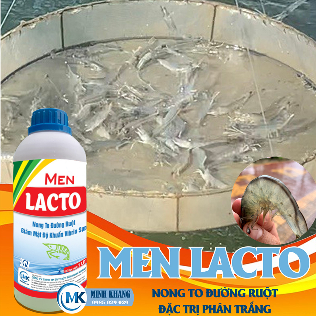 MEN LACTO - Ảnh 2
