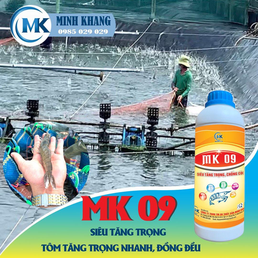 MK 09 - Ảnh 3