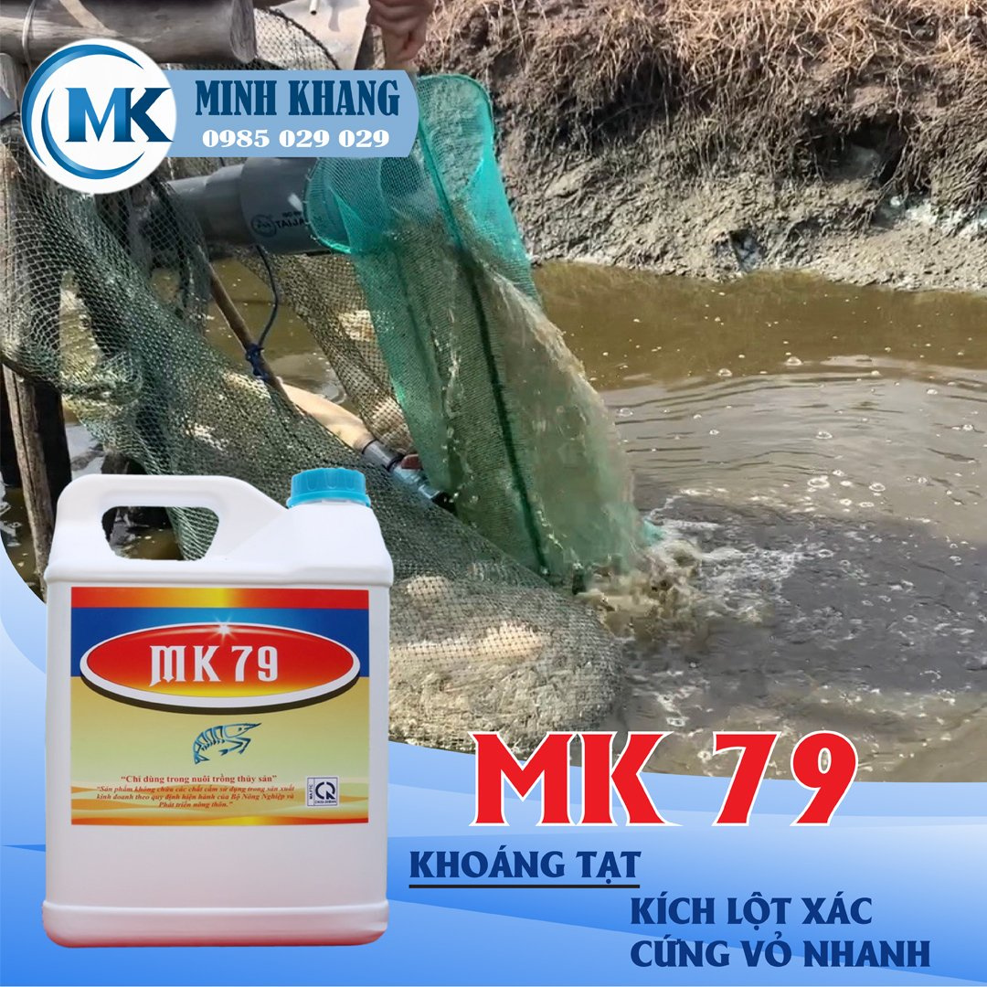 MK 79 - Ảnh 2