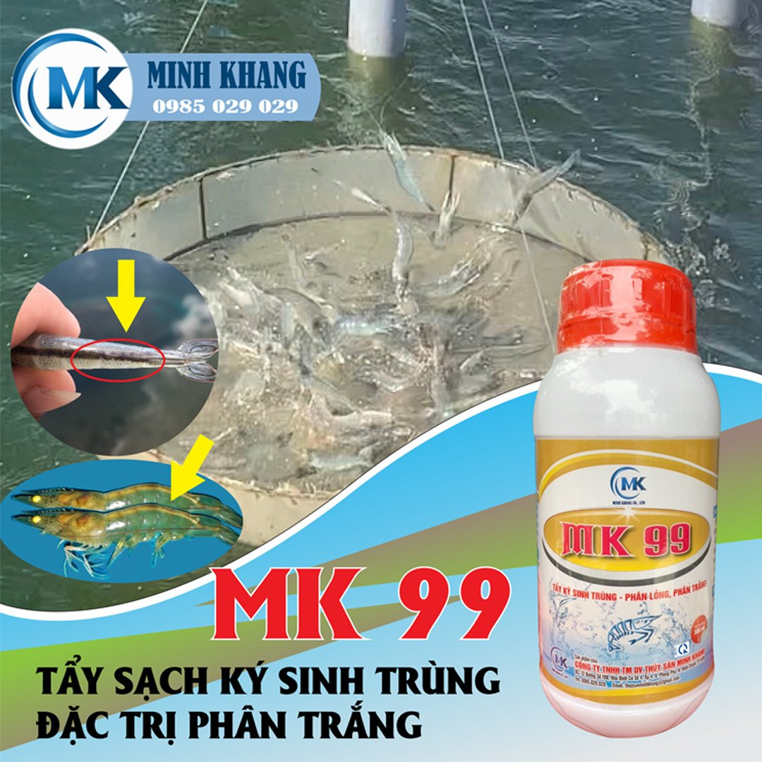 MK 99 - Ảnh 2