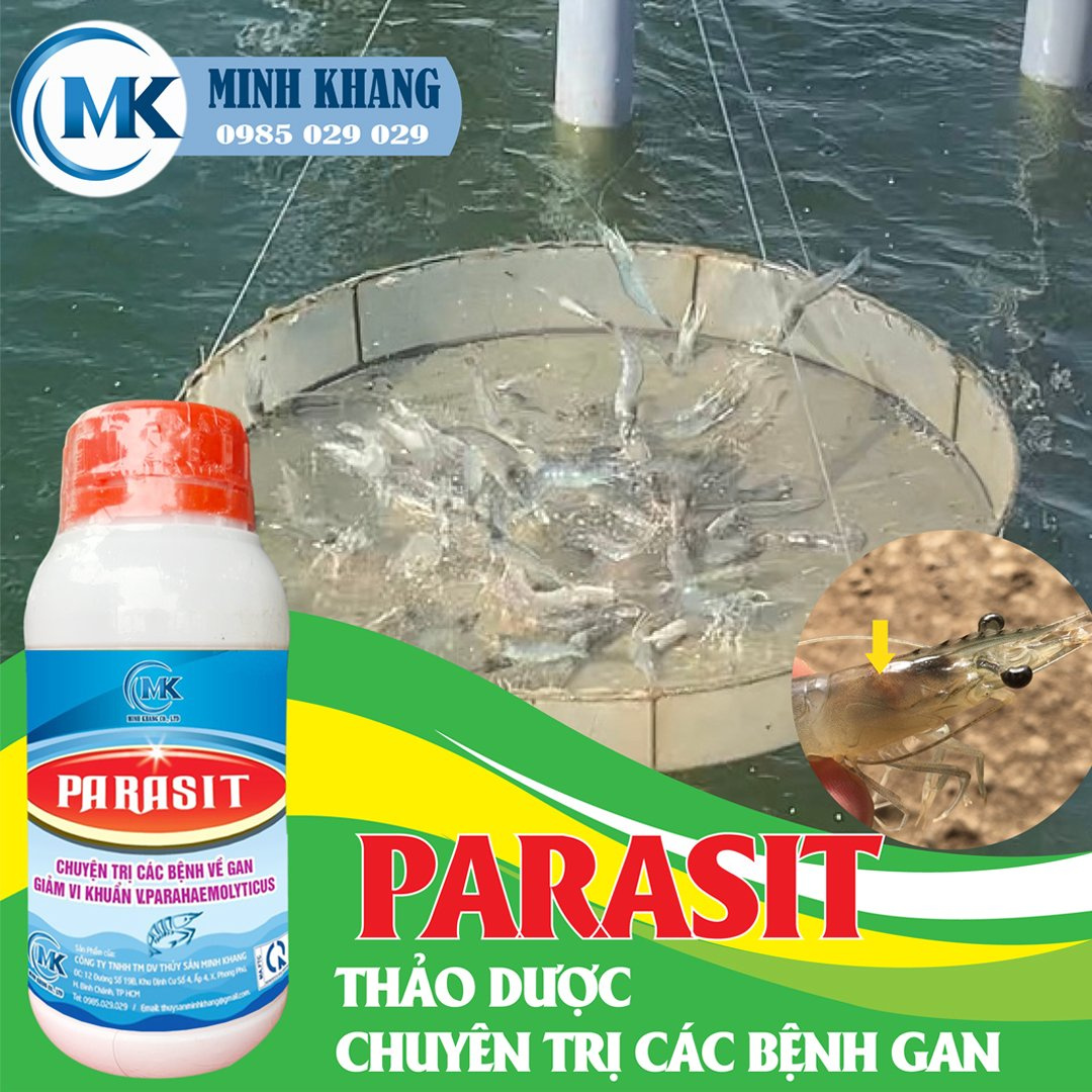 PARASIT - Ảnh 2