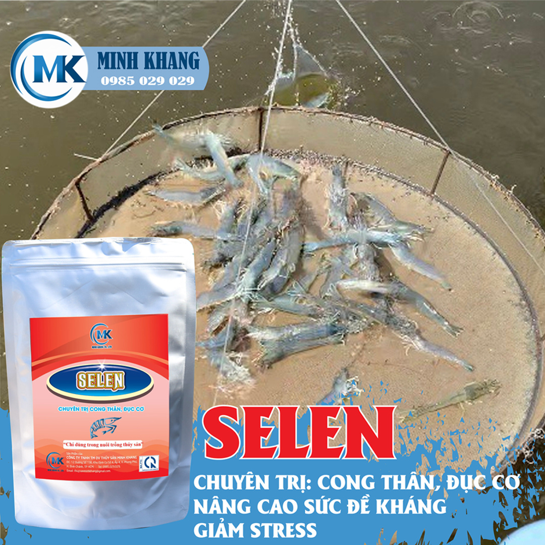 SELEN - Ảnh 2