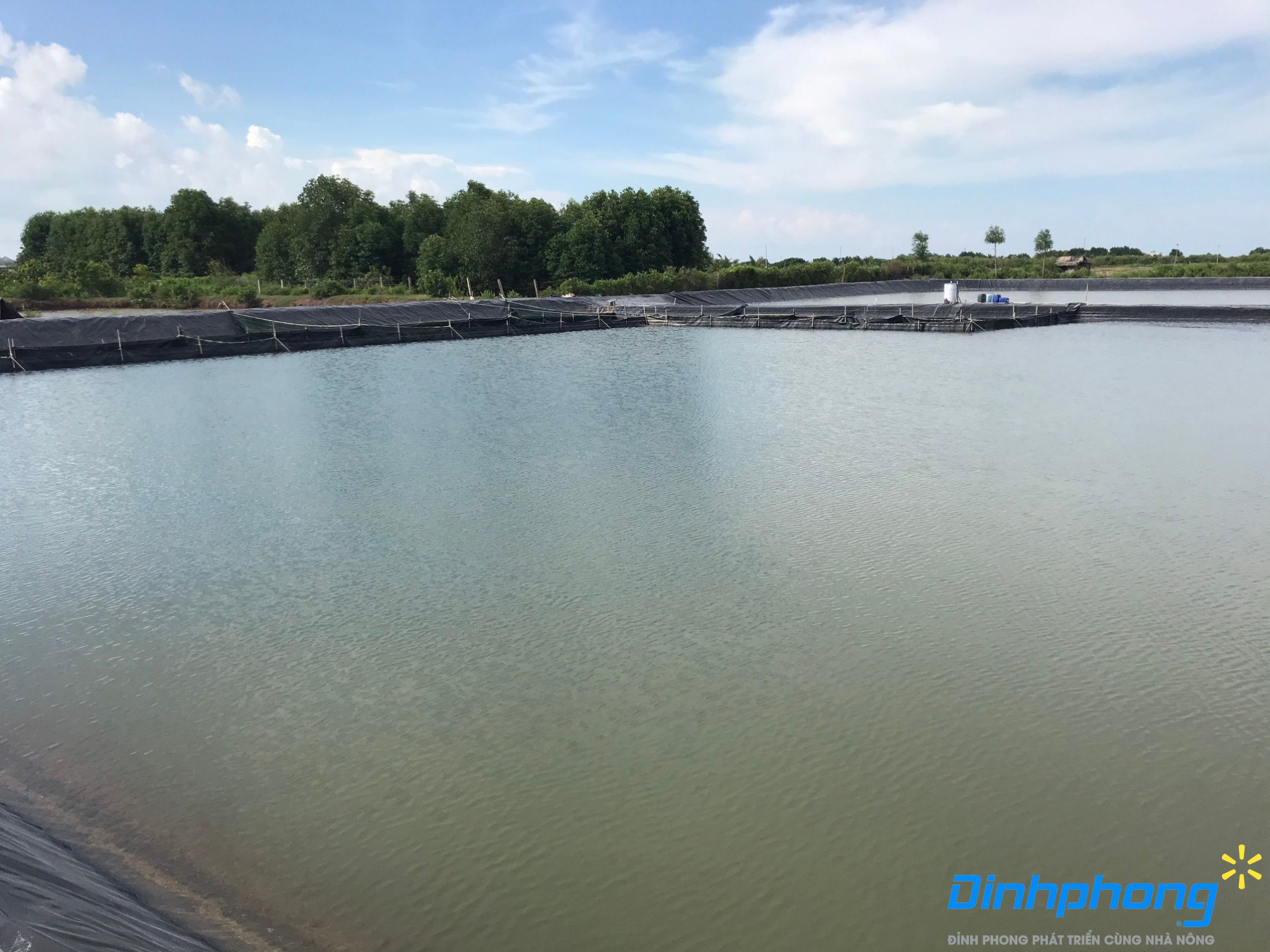 Đỉnh Phong - Ảnh 2