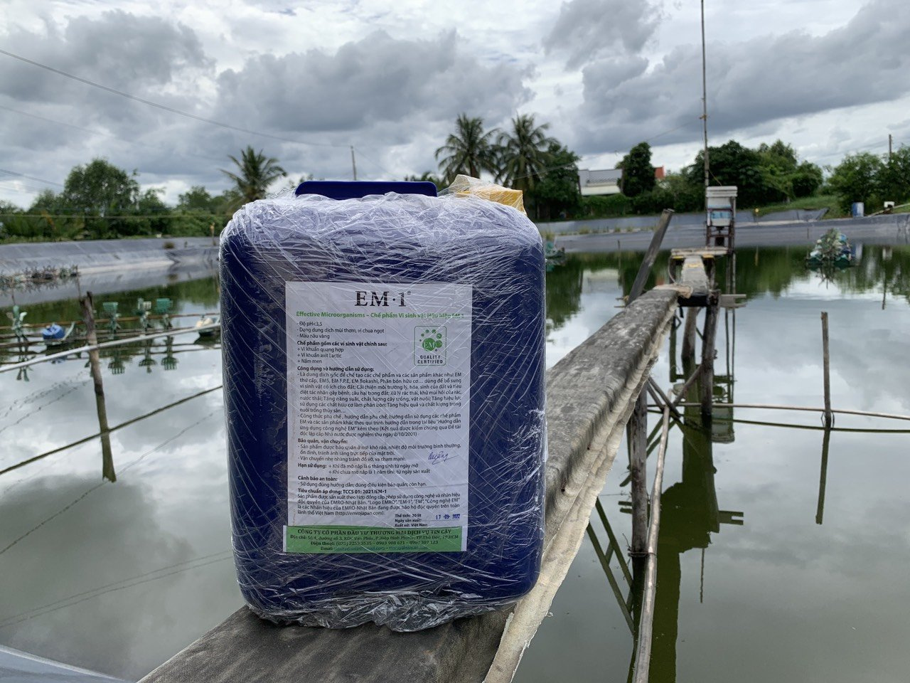 EM1 (EM GỐC) - Ảnh 4