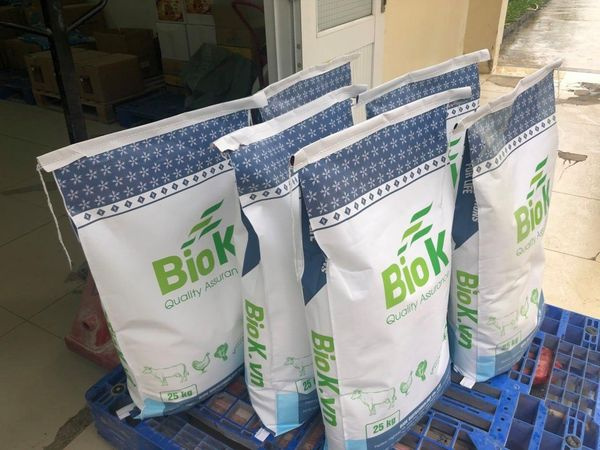 BIOK - Ảnh 3