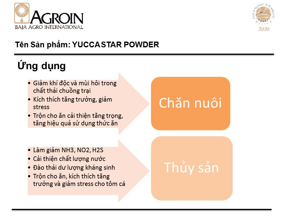 Yucca Schidigera - Ảnh 3
