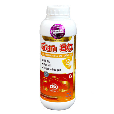 Gan 80