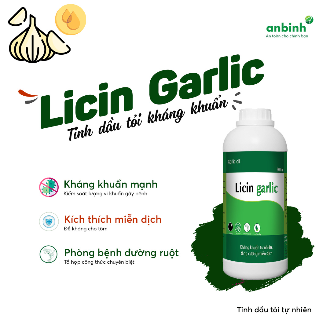 Licin Garlic - Ảnh 6