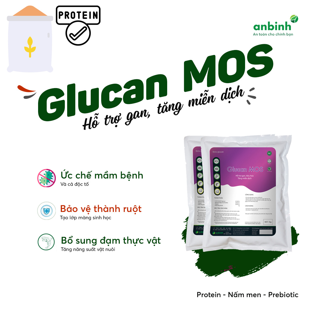 Glucan MOS - Ảnh 6
