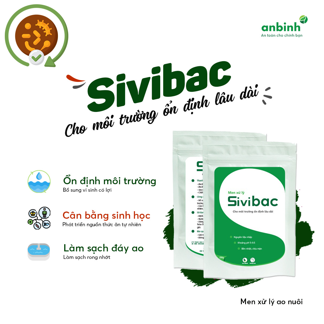 SIVIBAC - Ảnh 6