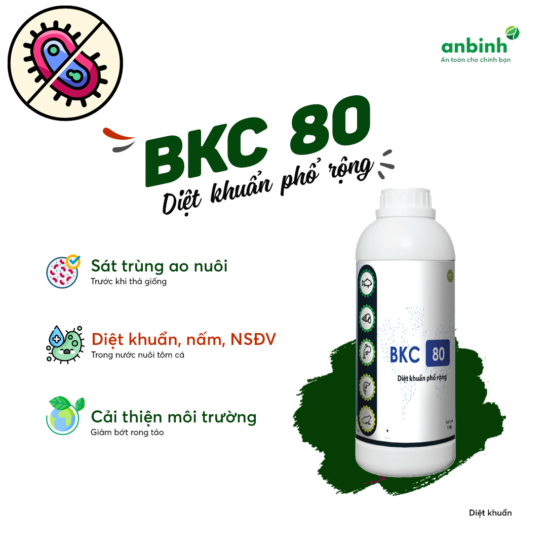 BKC 80 - Ảnh 6