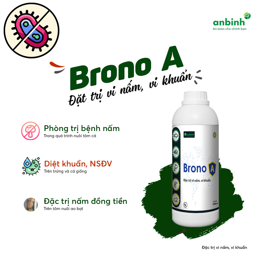 Brono A - Ảnh 6