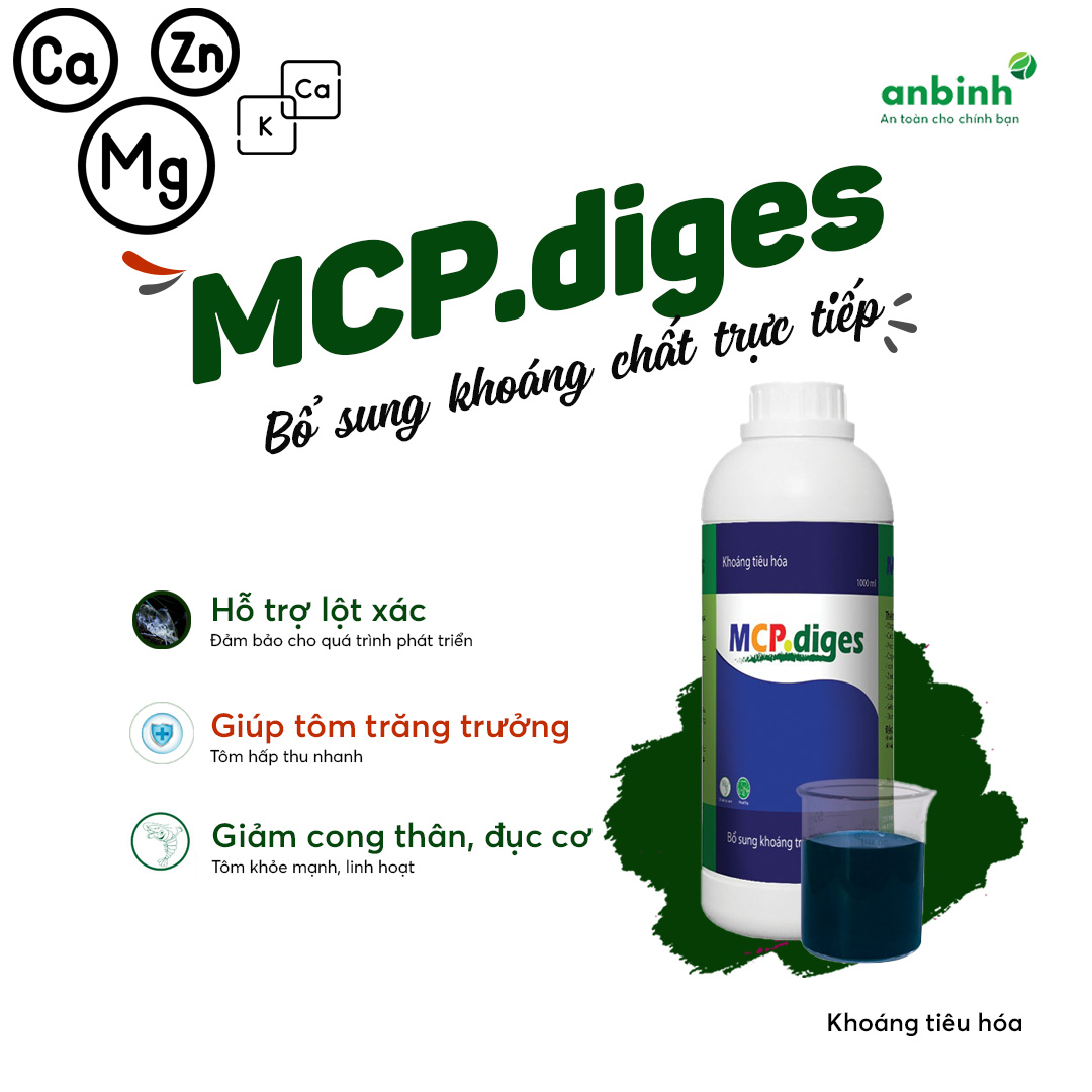 MCP diges - Ảnh 6