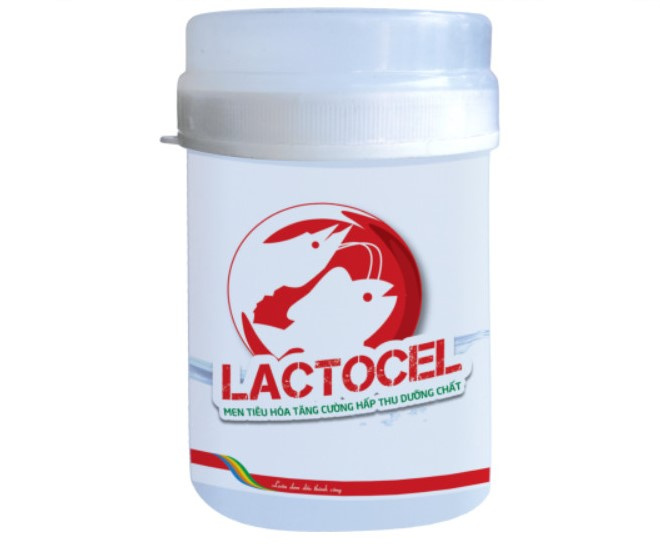 LACTOCEL