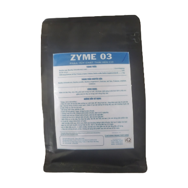 Zyme 03