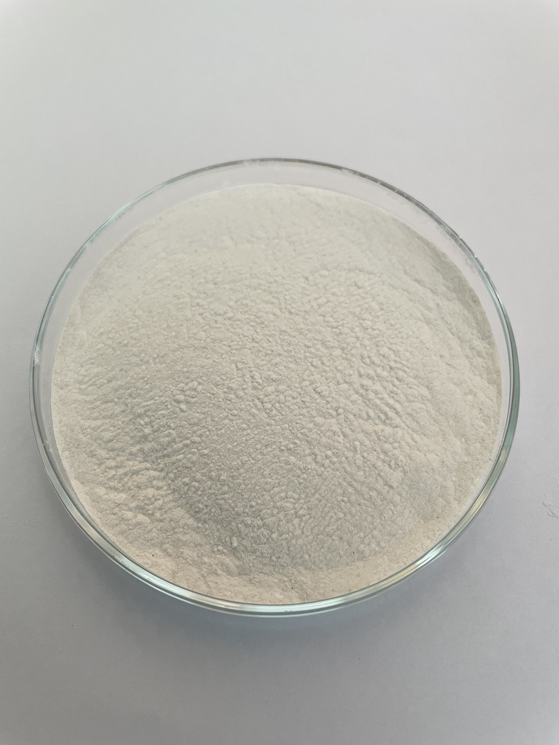 BACILLUS LICHENIFORMIS - Ảnh 3