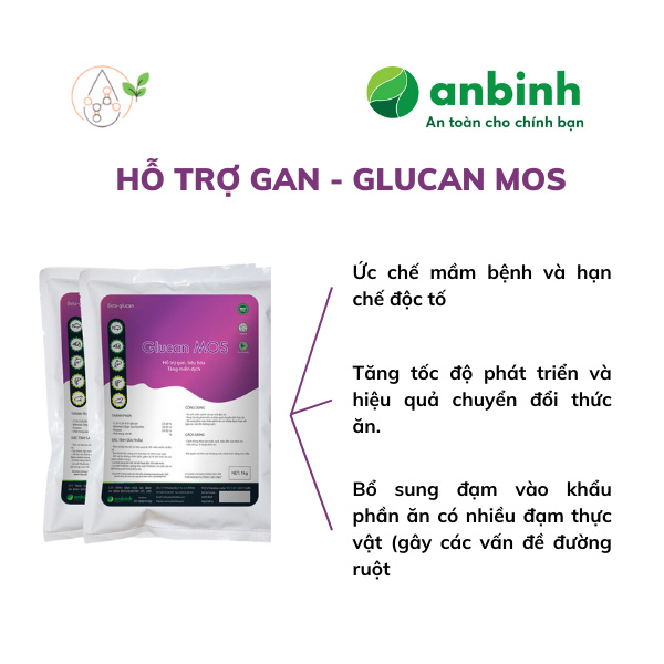 Glucan MOS - Ảnh 4