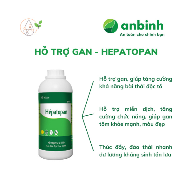 Hepatopan - Ảnh 4