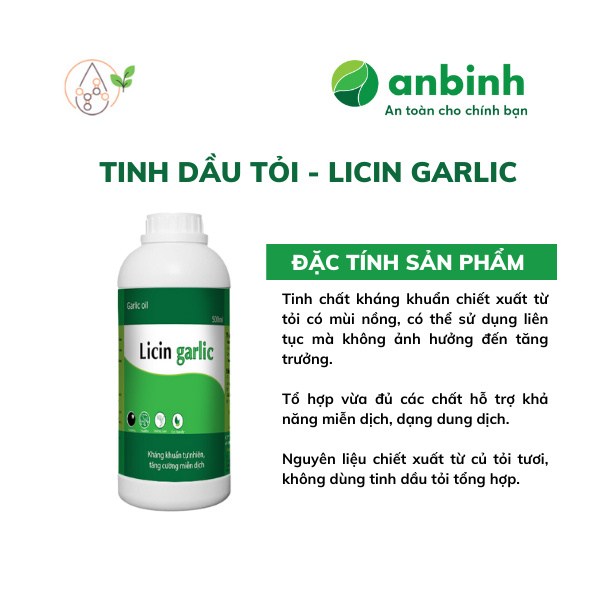 Licin Garlic - Ảnh 3
