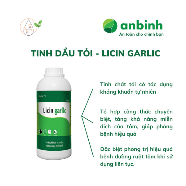 Licin Garlic - Ảnh 4