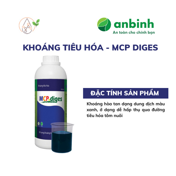 MCP diges - Ảnh 3