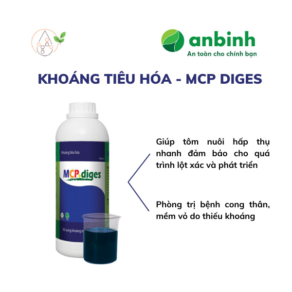 MCP diges - Ảnh 4