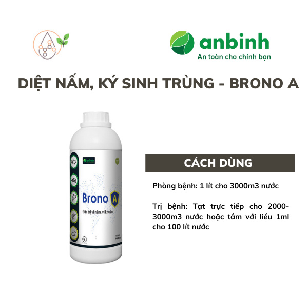 Brono A - Ảnh 3