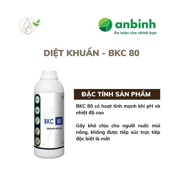 BKC 80 - Ảnh 3