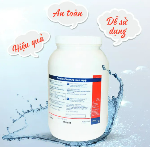 TRICAINE PHARMAQ - Ảnh 5