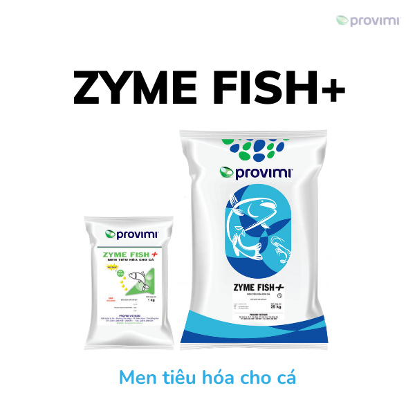 Zyme Fish + - Ảnh 2