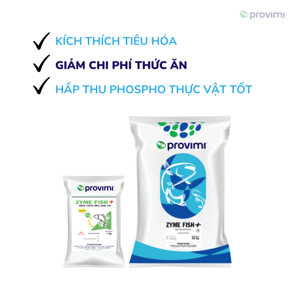 Zyme Fish + - Ảnh 4