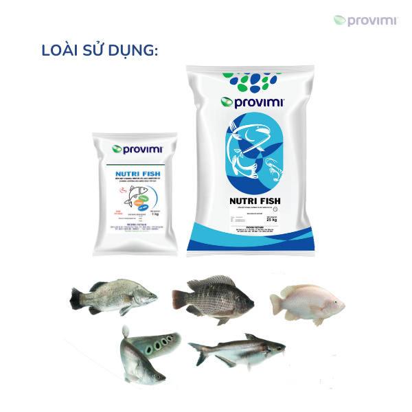 Nutri Fish - Ảnh 5