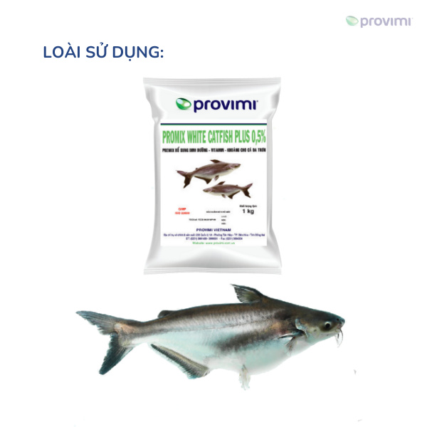 PROMIX WHITE CATFISH PLUS 0,5% - Ảnh 3