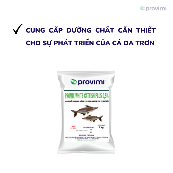 PROMIX WHITE CATFISH PLUS 0,5% - Ảnh 6