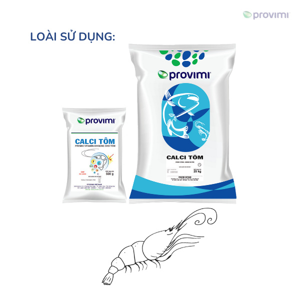 Calci Tôm - Ảnh 5