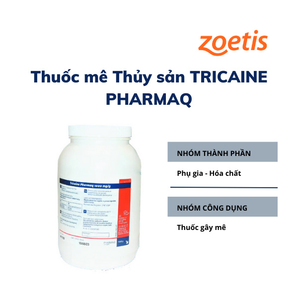 TRICAINE PHARMAQ - Ảnh 4