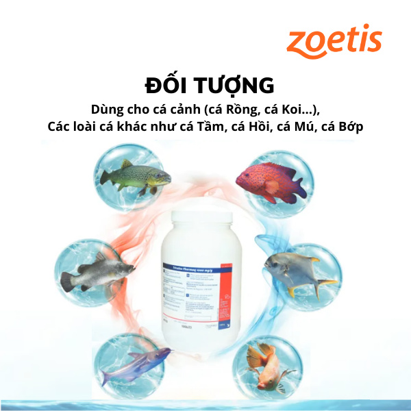 TRICAINE PHARMAQ - Ảnh 2