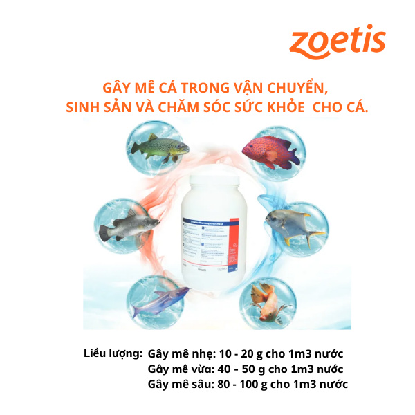 TRICAINE PHARMAQ - Ảnh 3