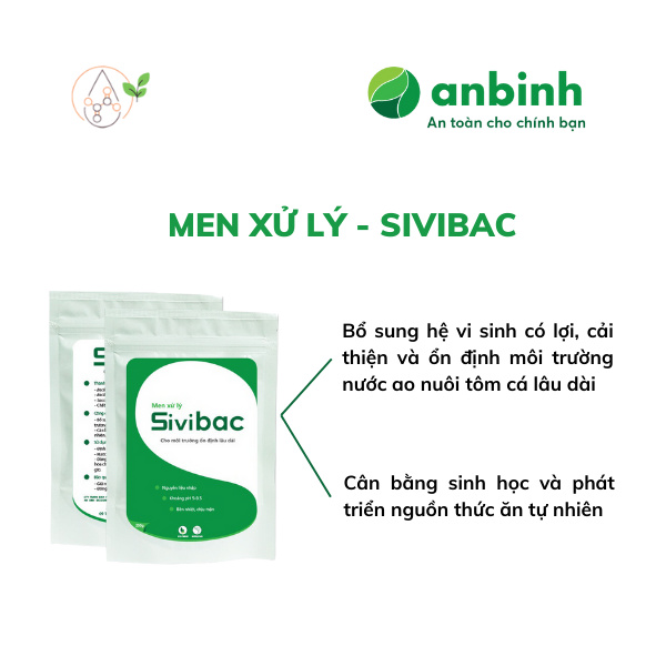 SIVIBAC - Ảnh 4