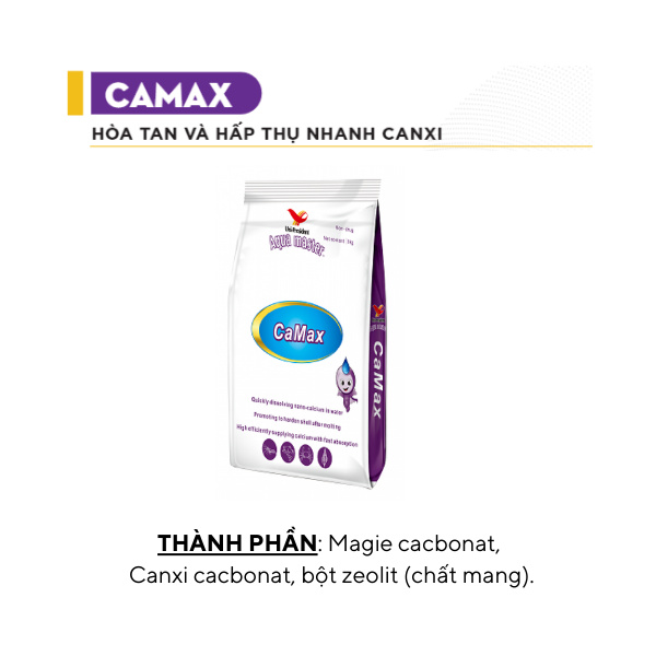 CAMAX - Ảnh 3