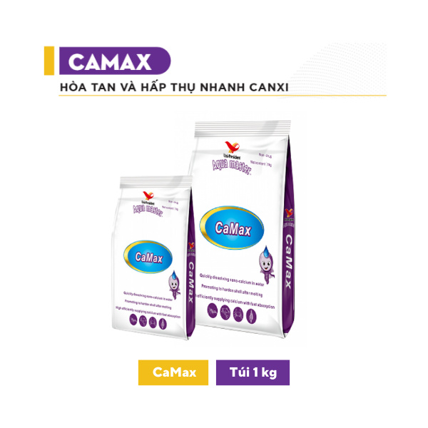 CAMAX - Ảnh 4