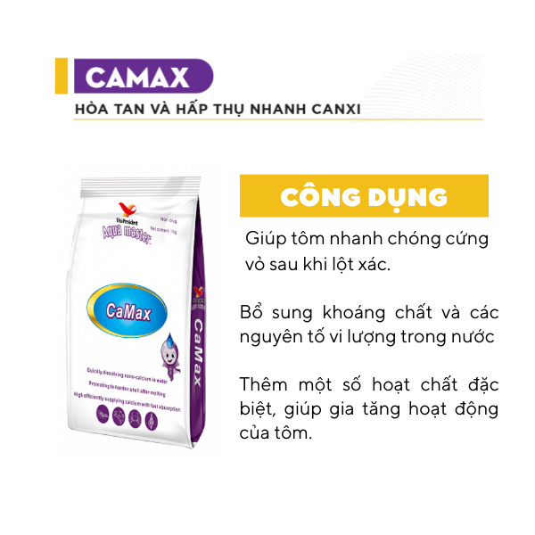 CAMAX - Ảnh 5