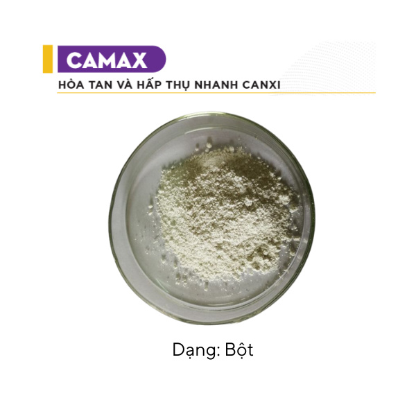 CAMAX - Ảnh 6