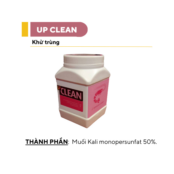 UP CLEAN - Ảnh 3