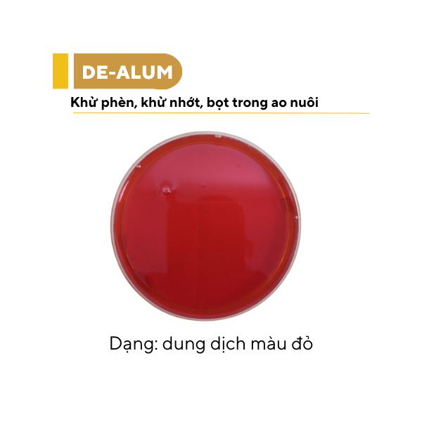 DE-ALUM - Ảnh 6