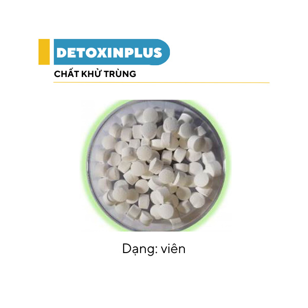 DETOXINPLUS - Ảnh 6