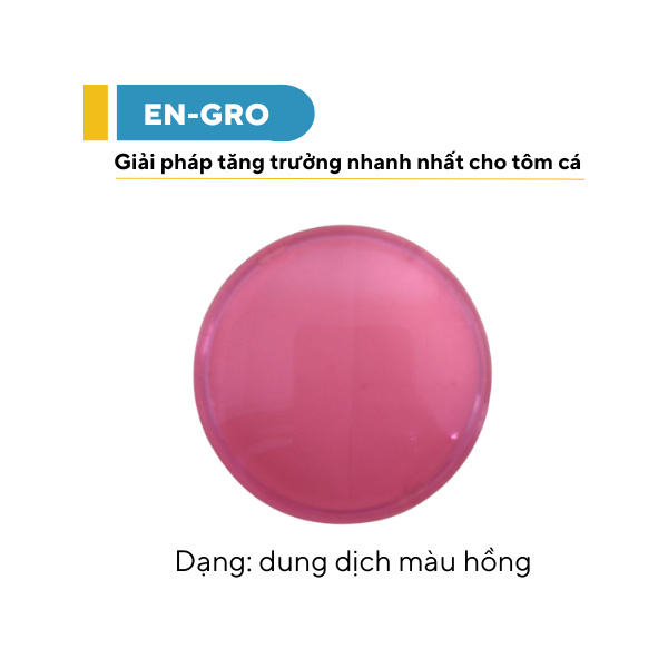 EN-GRO - Ảnh 6
