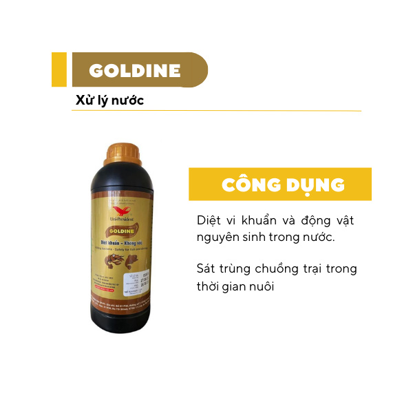 GOLDINE - Ảnh 5